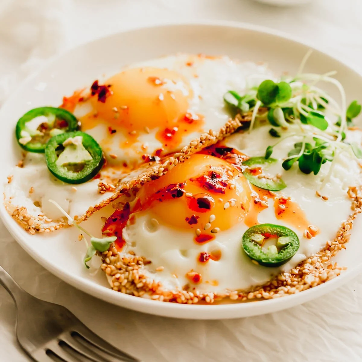 egg